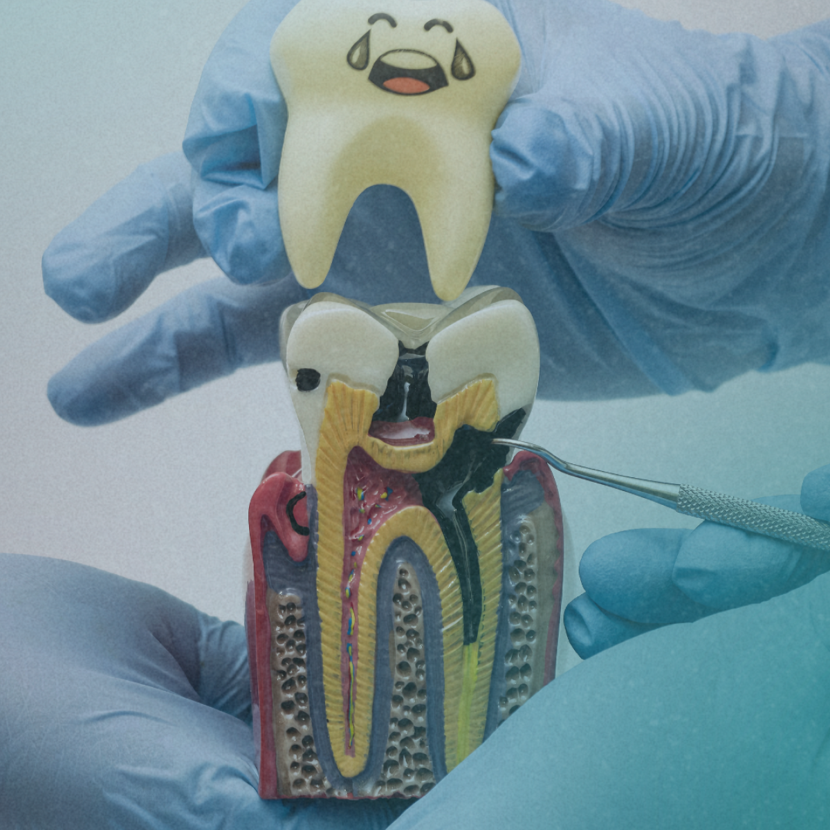 DNA REEL COVER 4 (1)